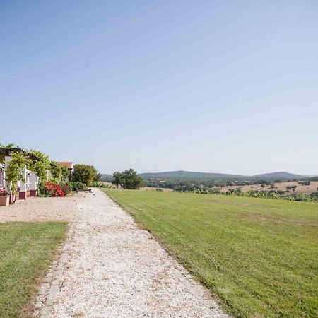 Villa Stunning Mansion In Sao Cristovao à Montemor-o-Novo Extérieur photo